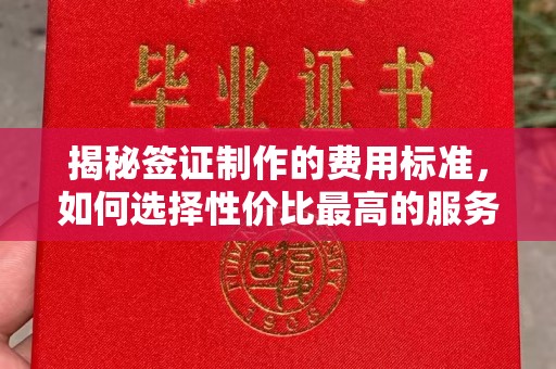 宣恩揭秘签证制作的费用标准，如何选择性价比最高的服务？